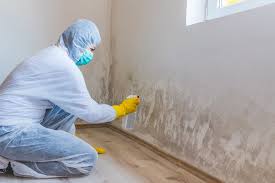 Best Residential Mold Inspection & Testing  in Newell, WV